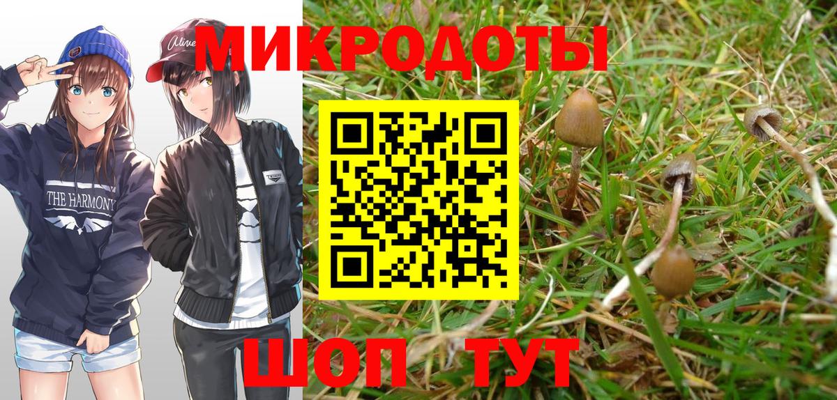 Галлюциногенные грибы Psilocybe  Галлюциногенные грибы мухоморы  Коркино  Вход с VPN 